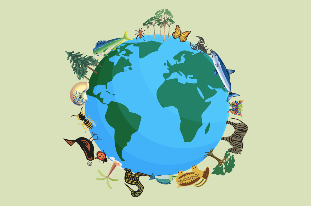 Illustration einer Weltkugel mit verschiedenen Tieren, Pflanzen und Insekten, die den Planeten umgeben. Zu sehen sind unter anderem ein Hai, ein Schmetterling, ein Zebra, Bäume und verschiedene Meereslebewesen.