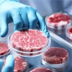 Eine Person mit blauen Handschuhen hält in einem Labor eine Petrischale mit gezüchtetem Fleisch. Auf dem Tisch liegen weitere Schalen mit ähnlich aussehendem Fleisch. Die Szene steht sinnbildlich für die Entwicklung von kultiviertem Fleisch durch Zellkulturtechnologie.