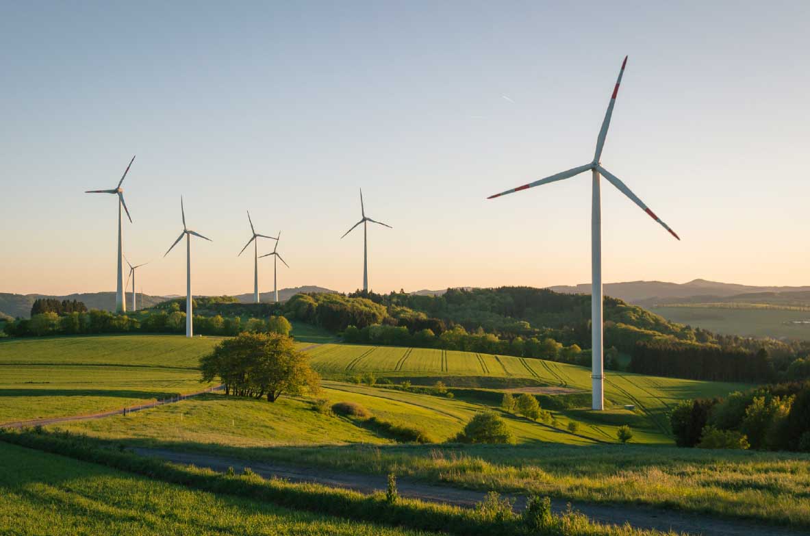 Mehrere Windräder stehen auf einem sanft hügeligen, grünen Feld. Im Hintergrund erstreckt sich eine bewaldete Landschaft bis zum Horizont unter einem klaren Himmel bei Sonnenuntergang.