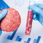 Zwei behandschuhte Hände halten im Labor ein Reagenzglas mit rohem Fleisch und einen geformten Burger-Patty. Im Hintergrund sind Diagramme und Laborutensilien zu sehen. Die Szene symbolisiert die Entwicklung von alternativen Proteinen mittels Präzisionsfermentation.