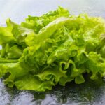 Ein frischer, grüner Kopfsalat liegt auf einer nassen, glänzenden Oberfläche. Wassertropfen auf den Blättern und dem Untergrund lassen den Salat besonders knackig und appetitlich erscheinen.
