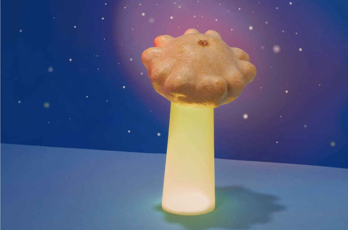 Eine künstlerisch inszenierte Szene mit einer UFO-ähnlichen Lichtprojektion: Ein gelblich beleuchteter Kegel aus Licht strahlt von unten nach oben und trägt eine runde, unregelmäßig geformte Frucht oder ein Gemüse (vermutlich ein Zierkürbis oder eine Patisson-Kürbisart), das wie ein schwebendes UFO aussieht. Der Hintergrund zeigt einen fantasievollen Nachthimmel mit kleinen leuchtenden Sternen auf dunklem Blau.