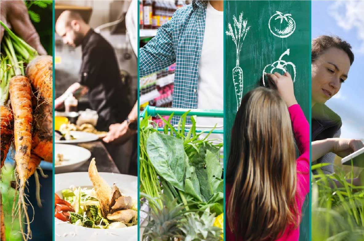 Collage aus fünf Bildern, die verschiedene Aspekte der Lebensmittelproduktion und -verarbeitung zeigen: frisch geerntete Karotten, ein Koch bei der Zubereitung eines Gerichts, eine Person mit einem Einkaufswagen voller Gemüse, ein Kind, das Gemüse an eine Tafel zeichnet, und eine Frau, die auf einem Feld arbeitet.