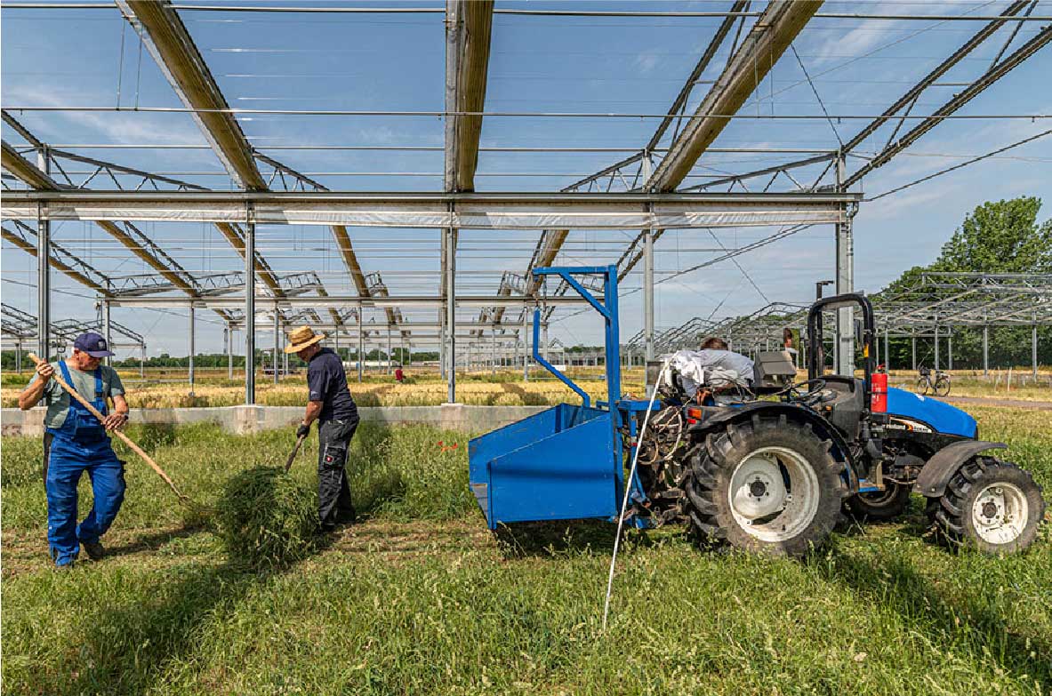 Zwei Männer arbeiten mit Rechen auf einer Versuchsackerfläche unter einem Gerüst aus Metallstreben, daneben ein blauer Traktor – aufgenommen auf der Versuchsstation Bad Lauchstädt, wo künftige Klimabedingungen simuliert und Auswirkungen auf die Landwirtschaft erforscht werden.