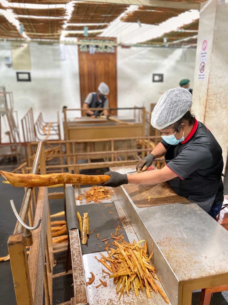 Verarbeitung von Maniok in einer Lebensmittelproduktion, Arbeiterin schält Wurzelgemüse mit Schutzkleidung.