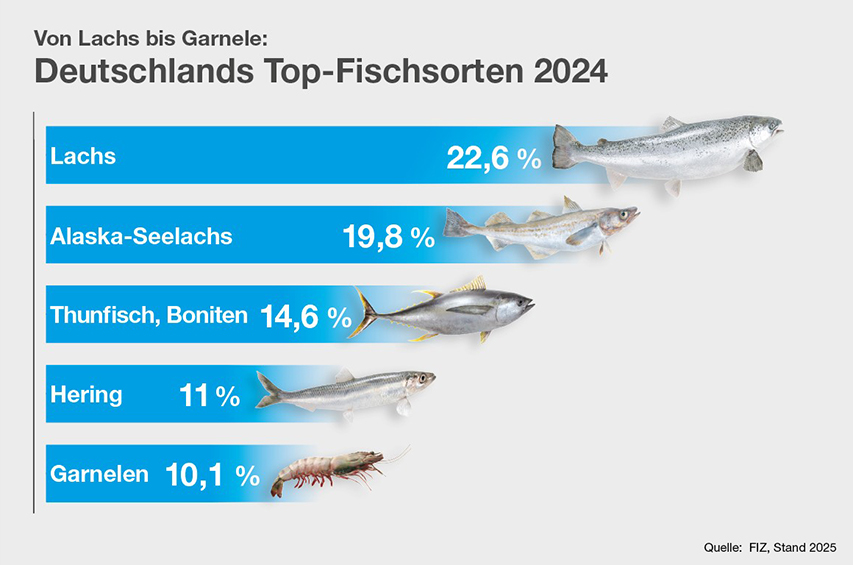 Infografik: Beliebteste Fischarten in Deutschland 2024 mit Marktanteilen von Lachs, Alaska-Seelachs, Thunfisch, Hering und Garnelen