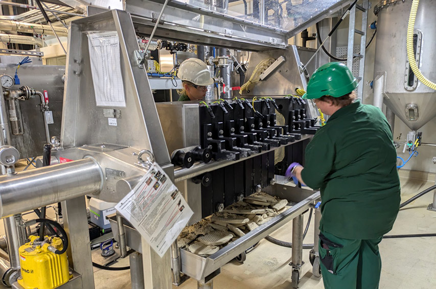 An der Filterpresse wird das Rapskernkonzentrat entölt.