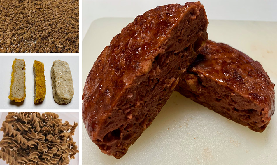 Lebensmittel aus Rapsprotein: vegane Burger-Patties, Pasta, Nuggets und Granulat aus Rapskernkonzentrat.