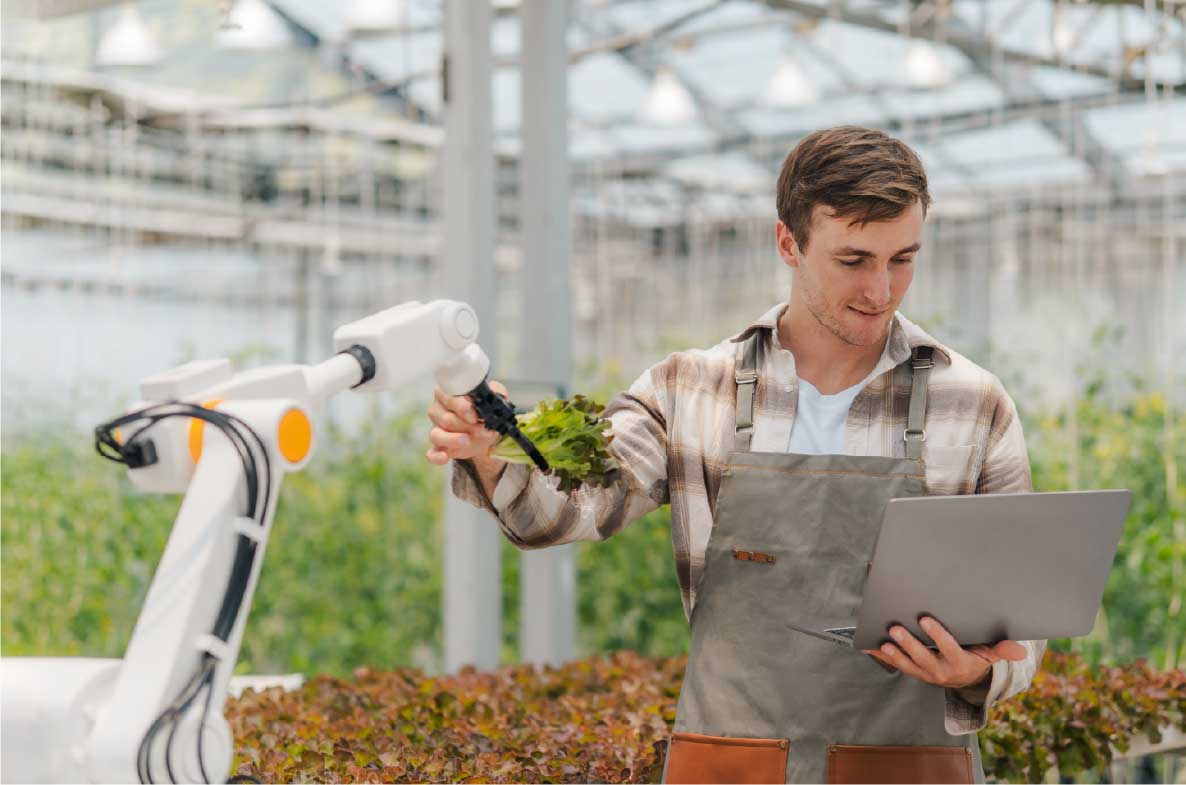 Junger Landwirt in einem modernen Gewächshaus arbeitet mit einem Laptop, während ein Agrarroboter frischen Salat erntet. Beispiel für Smart Farming und den Einsatz von Automatisierung in der Landwirtschaft.