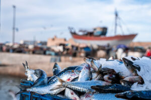 Frisch gefangene Fische in blauer Kiste am Hafen, im Hintergrund Fischerboot und geschäftiges Treiben