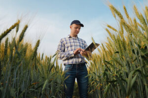 Landwirt kontrolliert einen Getreidebestand und dokumentiert Daten auf einem Tablet.
