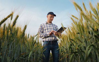 Landwirt kontrolliert einen Getreidebestand und dokumentiert Daten auf einem Tablet.